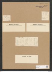 Diatomeae indet. Zeichnungen Sammlung Grunow Nr. 3748 (NHMW-BOT-W0371395)